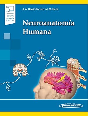 Imagen del vendedor de Neuroanatoma Humana + ebook a la venta por Vuestros Libros