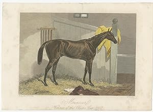 Antique Print of a Horse by Hacker (c.1850)
