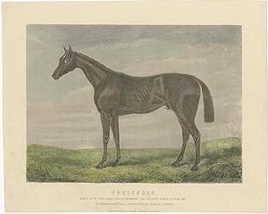 Antique Print of a Horse by Mackenzie (c.1850)