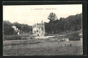Carte postale Flavigny, Villa des Sources