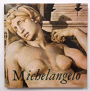 Michelangelo. Oldrich Blazicek.