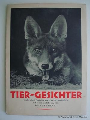 Tier-Gesichter. Einhundert schöne Großaufnahmen interessanter Tierköpfe. Bildauswahl und Gestaltu...