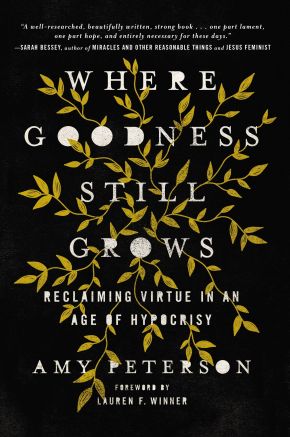 Bild des Verkufers fr Where Goodness Still Grows: Reclaiming Virtue in an Age of Hypocrisy zum Verkauf von ChristianBookbag / Beans Books, Inc.