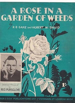 Imagen del vendedor de A Rose in Garden of Weeds a la venta por Broadwater Books
