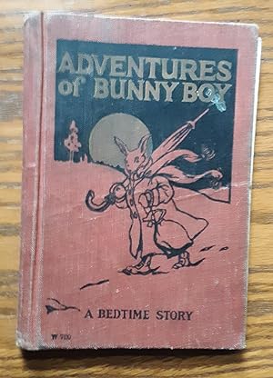 The Adventures of Bunny Boy