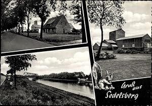 Seller image for Ansichtskarte / Postkarte Sedelsberg Saterland in Niedersachsen, Teilansicht, Fluss, Brcke, Hof, Eichhrnchen for sale by akpool GmbH