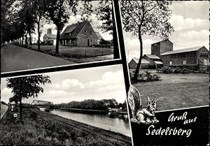 Seller image for Ansichtskarte / Postkarte Sedelsberg Saterland in Niedersachsen, Teilansicht, Fluss, Brcke, Hof, Eichhrnchen for sale by akpool GmbH