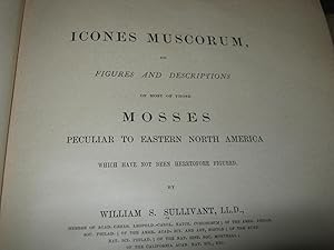 Icones Muscorum, Or Figures And Descriptions Of Most Of Those Mosses Peculiar To Eastern North Am...