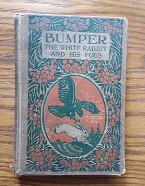 Bumper The White Rabbit and His Foes