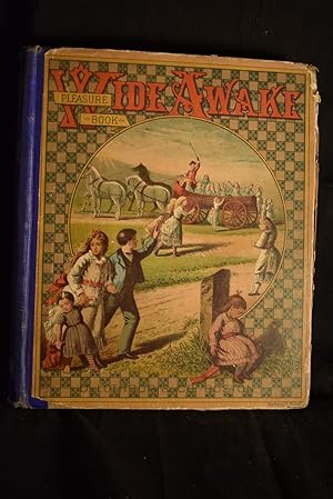 Seller image for Wide Awake Pleasure Book for sale by History Bound LLC