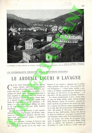 Le ardesie liguri o lavagne.