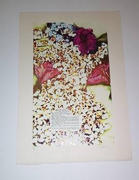 Seller image for Popcorn with Roses and Dictionary page. Original lithograph. for sale by Wittenborn Art Books