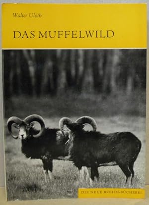 Bild des Verkufers fr Das Muffelwild. Ovis ammon musimon. (Neue Brehm-Bcherei 491) zum Verkauf von Nicoline Thieme
