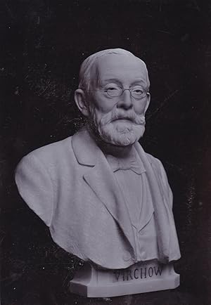 Rudolf Virchow-Büste. Original-Photographie auf Karton.