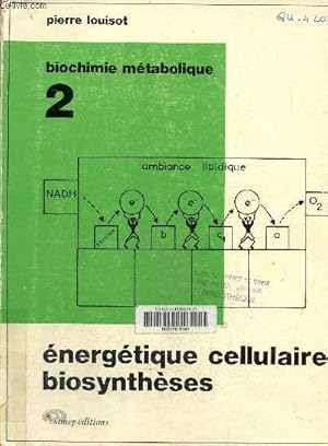 Imagen del vendedor de Energtique cellulaire biosynthses a la venta por Le-Livre