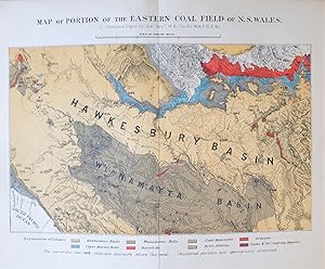 REMARKS ON THE SEDIMENTARY FORMATIONS OF NEW SOUTH WALES