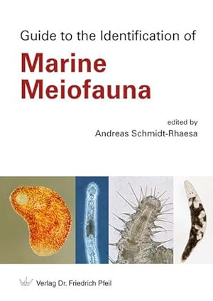 Bild des Verkufers fr Guide to the Identification of Marine Meiofauna zum Verkauf von AHA-BUCH GmbH