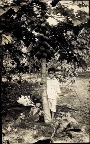 Foto Ansichtskarte / Postkarte Junge neben einem Baum, Palme