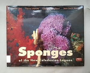 Sponges of the New Caledonian lagoon.