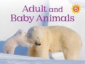 Image du vendeur pour Adult and Baby Animals (English) (Nunavummi) by Ward, Kelly [Paperback ] mis en vente par booksXpress