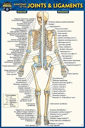 Bild des Verkufers fr Anatomy of the Joints & Ligaments by Perez, Vincent [Wall Chart ] zum Verkauf von booksXpress
