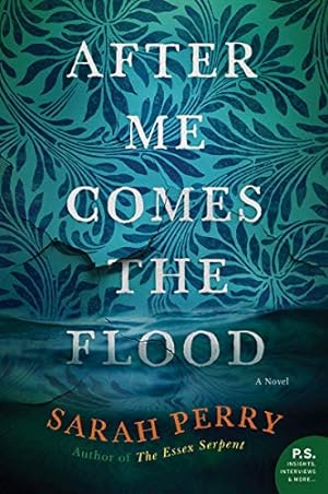Seller image for After Me Comes the Flood: A Novel by Perry, Sarah [Paperback ] for sale by booksXpress
