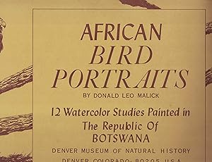 African Bird Potraits 12 Watercolor Studies Painted in the Republic of Botswana