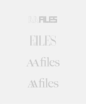 Seller image for AA Files X by Neuss, Bodo, Wong, Jane, Bj ¸rn Christansen, Mads, Priest, Emily [Paperback ] for sale by booksXpress