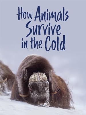 Seller image for How Animals Survive in the Cold (English) (Nunavummi) by Graham, Kelly [Paperback ] for sale by booksXpress