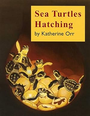 Seller image for Sea Turtles Hatching by Orr, Katherine [Paperback ] for sale by booksXpress