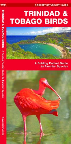 Seller image for Trinidad & Tobago Birds: A Folding Pocket Guide to Familiar Species (Wildlife and Nature Identification) by Kavanagh, James [Paperback ] for sale by booksXpress