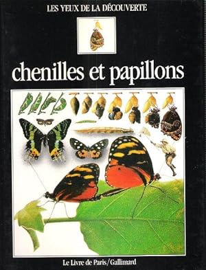 De La Chenille Au Papillon