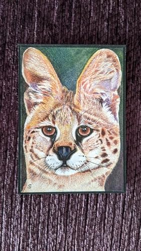 serval ACEO/ATC, dibujo a lápiz de color original miniatura 2020