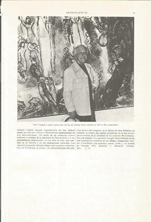 Seller image for LAMINA ESPASA 33989: Marc Chagall for sale by EL BOLETIN