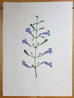 Linoleum Block Print of a Northern California Plant or Flower: Penstemon. Signed and Numbered by ...