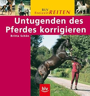 Untugenden des Pferdes korrigieren