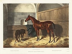 Seller image for English mare with colt - Englische Stute mit Fohlen for sale by Antiquariat Reinhold Berg eK Inh. R.Berg