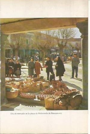 Bild des Verkufers fr LAMINA 20550: Dia de mercado en la plaza de Pearanda de Bracamonte zum Verkauf von EL BOLETIN