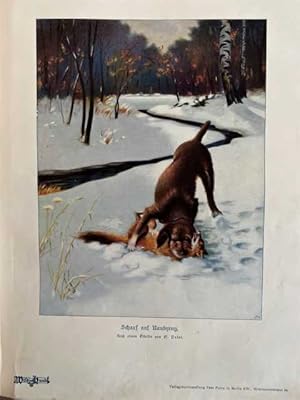 Wild und Hund. 13. Jahrgang 1907. Mit 786 Textabbildungen und 25 Kunstbeilagen.
