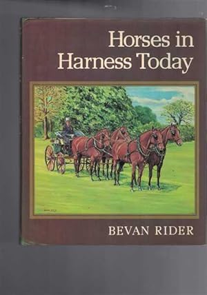 Horses in Harness Today