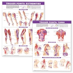 Immagine del venditore per Trigger Points Chart Set : Extremities and Torso venduto da GreatBookPricesUK