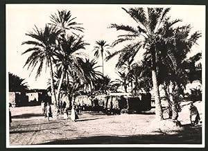 Fotografie Ansicht Kebili, Passanten unter Palmen in der Oase 1942