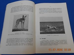 Seller image for BULLETIN DE LIAISON SAHARIENNE. N17 JUIN 1954 for sale by Emmanuelle Morin