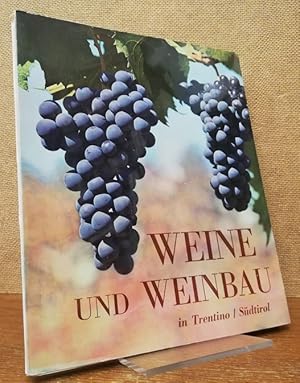 Weine und Weinbau in Trentino/Südtirol.