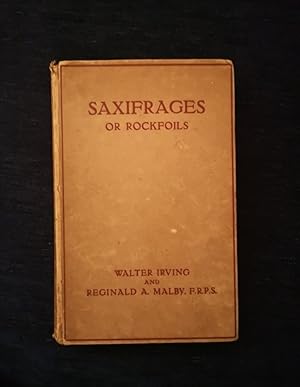 SAXIFRAGES OR ROCKFOILS