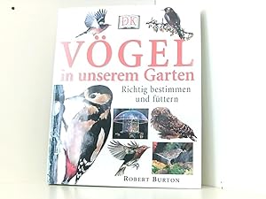 Vögel in unserem Garten