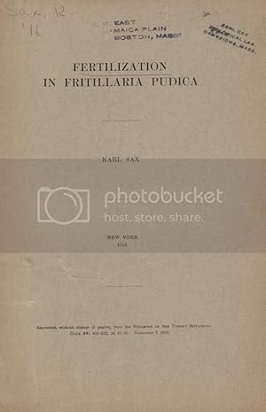 Seller image for Fertilization In Fritillaria Pudica by Sax, Karl for sale by Robinson Street Books, IOBA