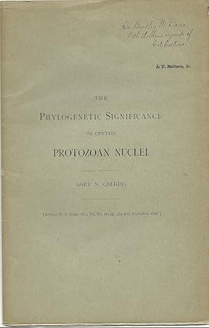 Bild des Verkufers fr The Phylogenetic Significance of certain Protozoan Nuclei by Calkins, Gary N. zum Verkauf von Robinson Street Books, IOBA