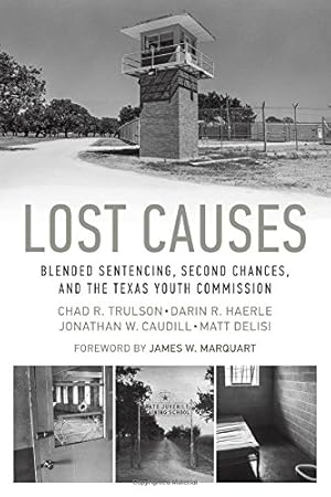 Image du vendeur pour Lost Causes: Blended Sentencing, Second Chances, and the Texas Youth Commission [Soft Cover ] mis en vente par booksXpress