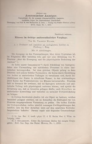 Seller image for Mitosen im Gefolge amitosenahnlicher Vorgange by Hacker, Valentin for sale by Robinson Street Books, IOBA